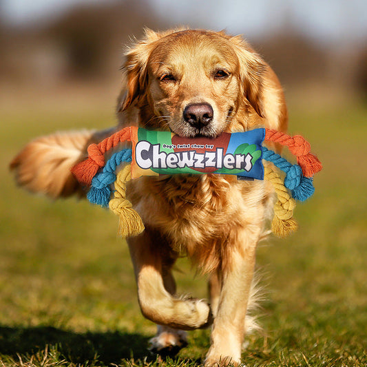 Chew toys for dogs 