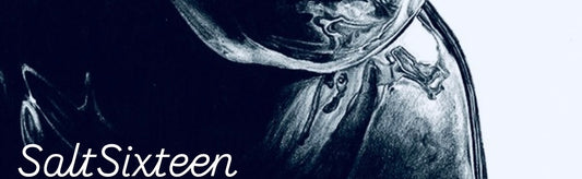 SaltSystem - One person. 9 incomes.